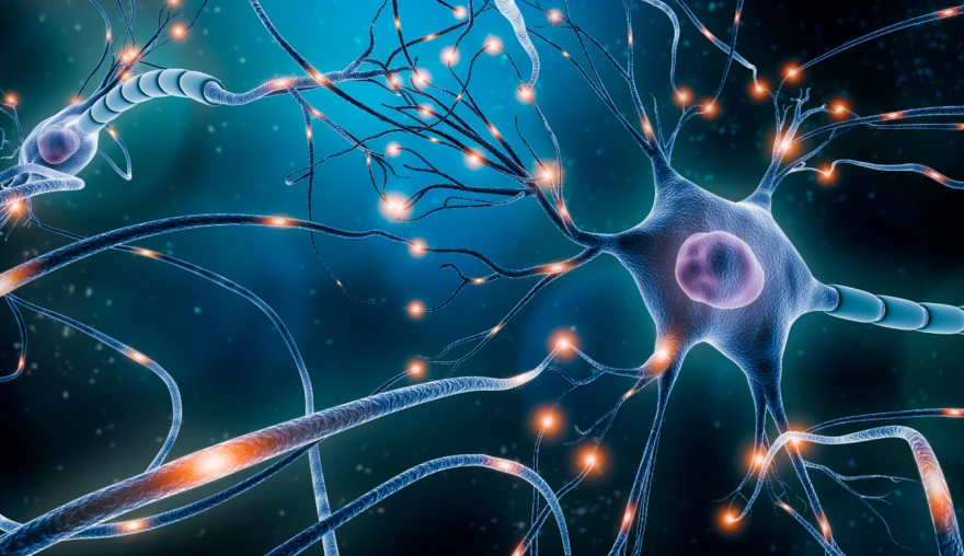 Tracing consciousness down to the cell