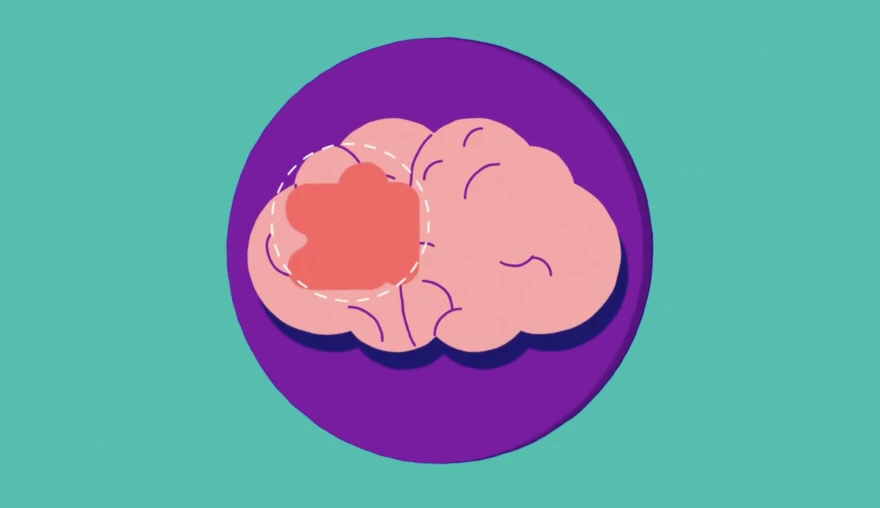 Can your brain sense things? Why and how to co-create science communication with youth