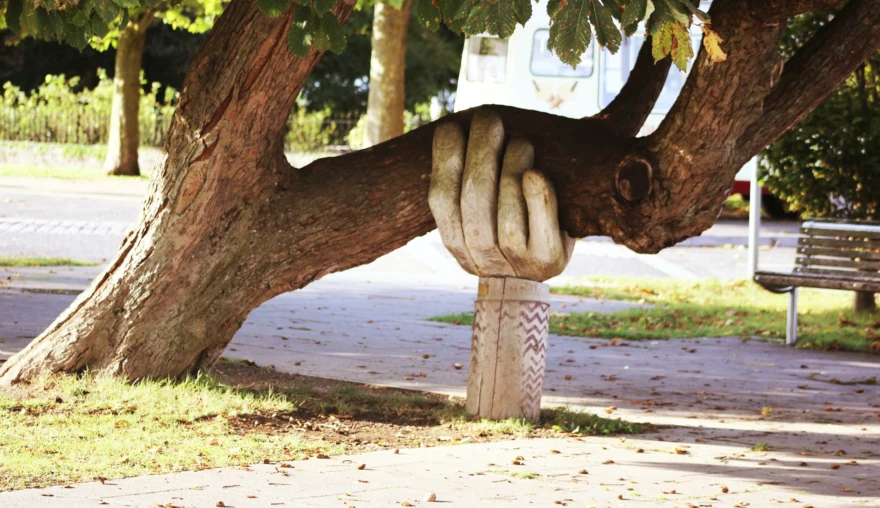 Political instability and student and staff mental health