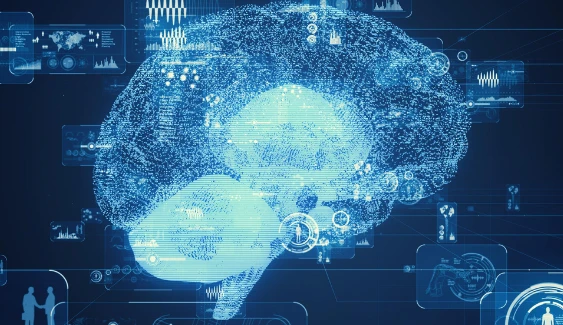 The nexus between artificial intelligence and neuroscience: The Connectome Project