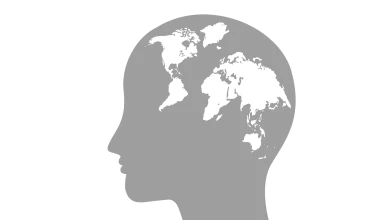 Creating a brain atlas