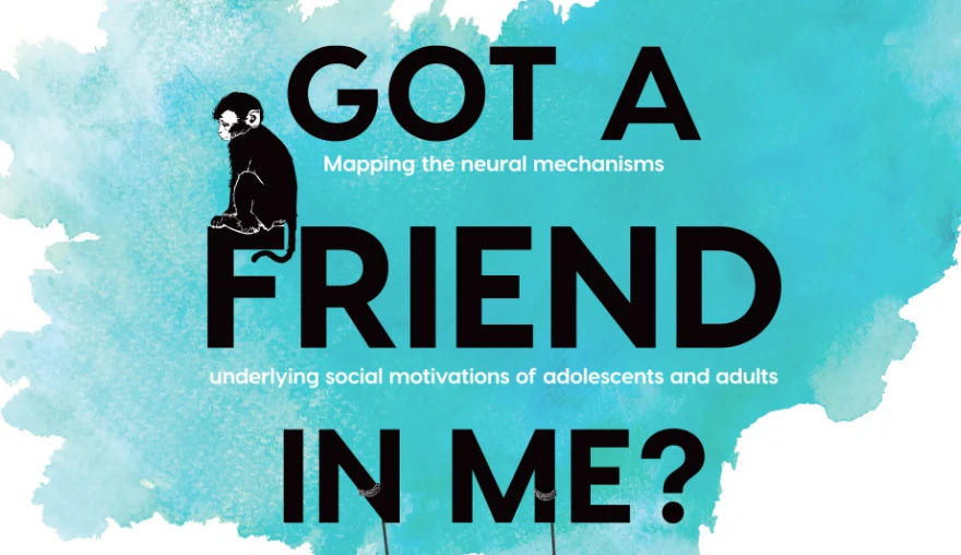 Videoblog: Got a friend in me? The neural signature of friendships and social motivations