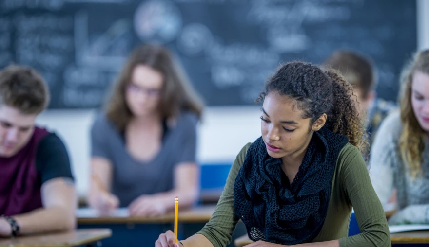 Autism and social inclusion at high school; a case of weak or strong ties?