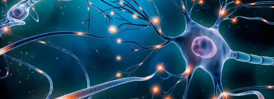 Tracing consciousness down to the cell