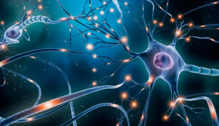 Tracing consciousness down to the cell