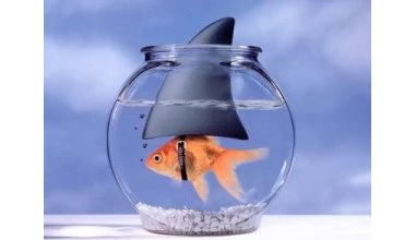 On sabbatical