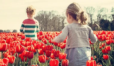 Who can get it across to the voters that life is good in the Netherlands?