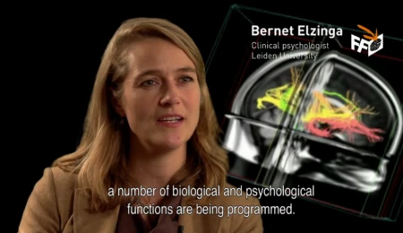Brain scars