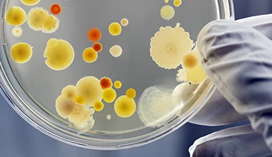 Psychology and genetic engineering - part 1