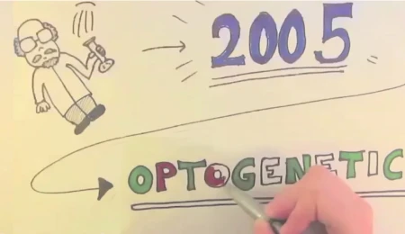 Illuminate your mind: neuromodulation at the speed of light