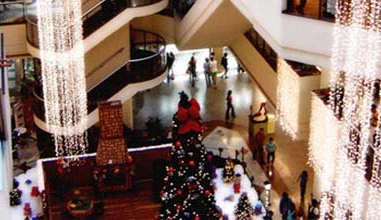 Buying happiness or stress? The role of empathy in Christmas shopping