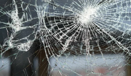 About rioters, mayors, judges, politicians, and our human brain