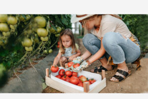 Vrouw en Kind tomaat i Stock 1261289953